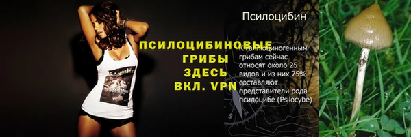 эйфоретик Новозыбков
