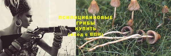 бутират Нягань