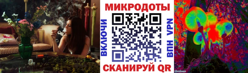 Галлюциногенные грибы прущие грибы Гдов
